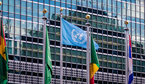 Apresentação na Assembleia Geral da ONU